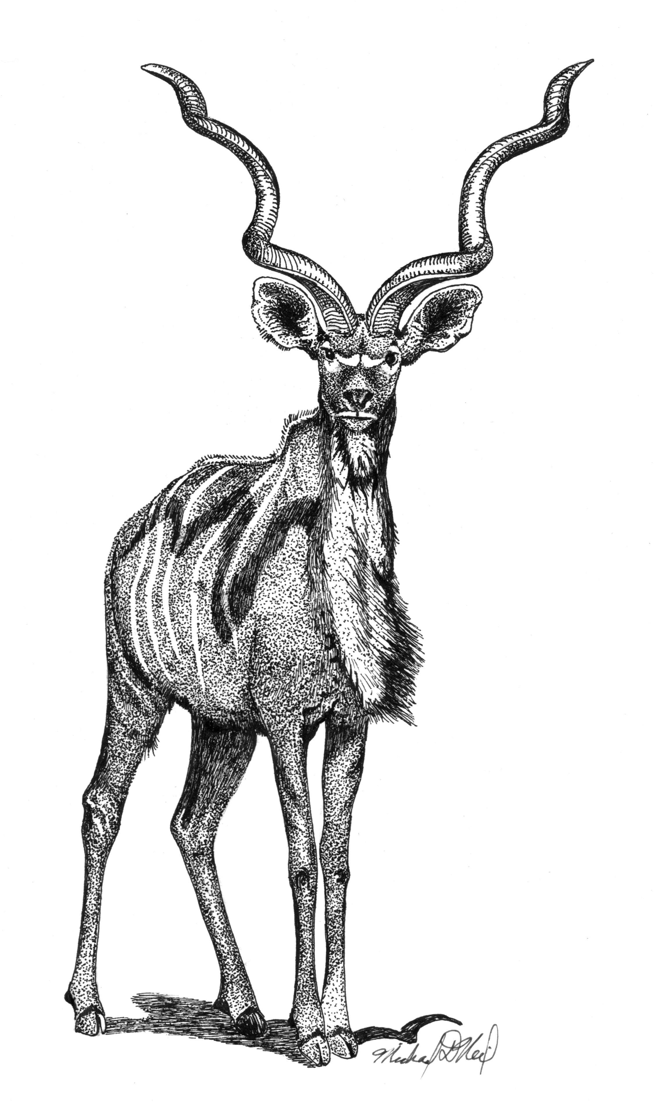 Kudu