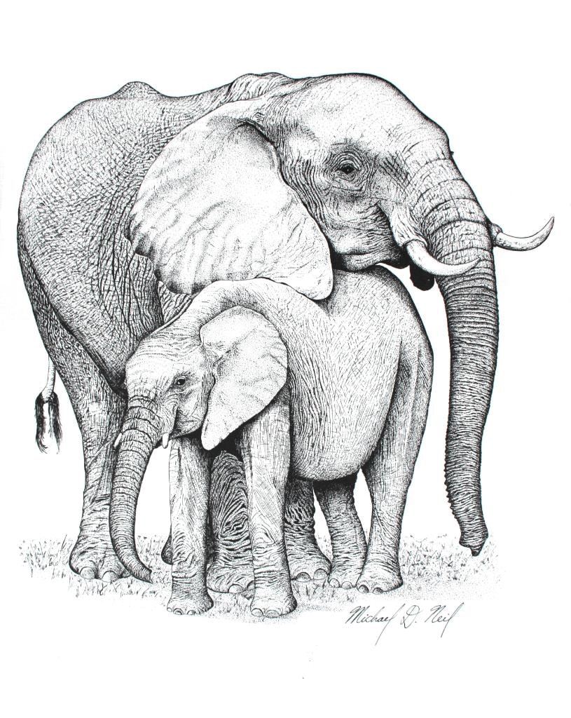 Mother Elephant and Baby